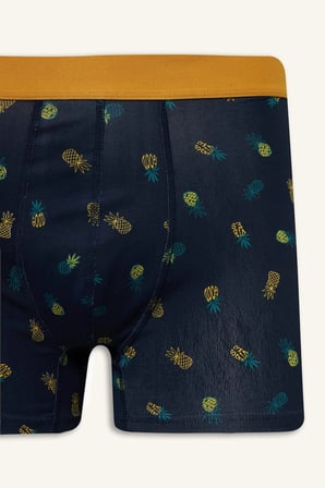 Defacto G8597AXNV135 Lacivert Regular Fıt Meyve Desenli 3'lü Boxer Set