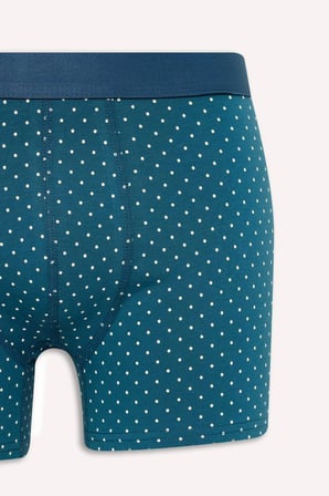 Defacto G9279AXBE785 Mavi Regular Fıt Şal Desenli 3'lü Boxer