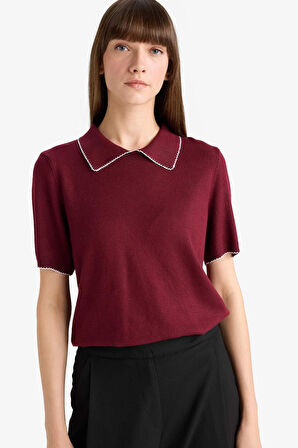 Regular Fit Polo Yaka Triko Kazak