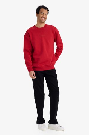 DeFacto Boxy Fit Bisiklet Yaka İçi Yumuşak Tüylü Baskılı Sweatshirt X8282AZ25AURD349