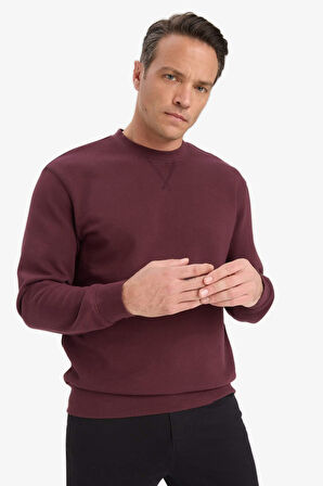 %100 Pamuk Regular Fit Bisiklet Yaka Sweatshirt