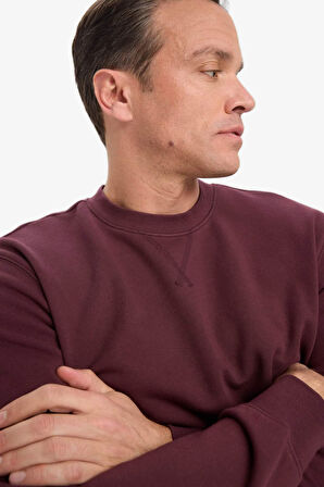 %100 Pamuk Regular Fit Bisiklet Yaka Sweatshirt