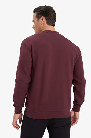 %100 Pamuk Regular Fit Bisiklet Yaka Sweatshirt