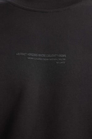 DeFacto Boxy Fit Bisiklet Yaka İçi Yumuşak Tüylü Baskılı Sweatshirt X8282AZ25AUBK81
