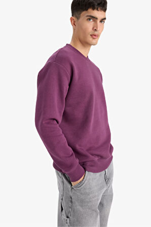 Relax Fit Bisiklet Yaka Kalın İçi Yumuşak Tüylü Basic Düz Sweatshirt