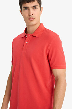 Regular Fit Polo Yaka Pike Kısa Kollu Polo Tişört