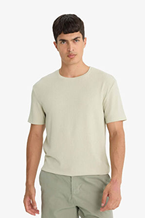 Regular Fit Bisiklet Yaka Kısa Kollu Tişört