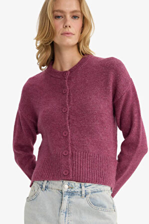 Regular Fit Bisiklet Yaka Hırka