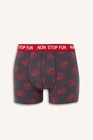 Regular Fit Desenli 3'lü Boxer