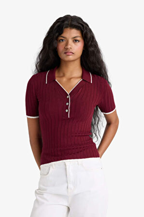 Fitted Polo Yaka Triko Kısa Kollu Kazak