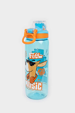 Unisex 650 ml Matara