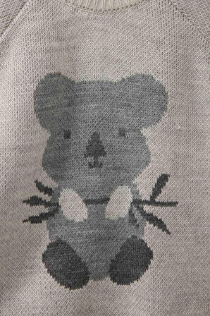 Erkek Bebek 2'li Takım Hayvan Desenli Triko Kazak Çizgili Alt