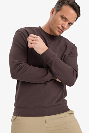 Regular Fit Bisiklet Yaka Sweatshirt