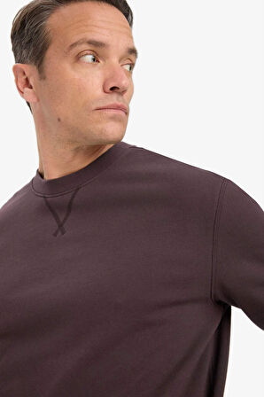 Regular Fit Bisiklet Yaka Sweatshirt