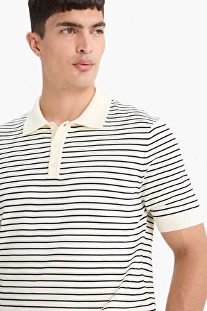 Standart Fit Polo Yaka Triko Kısa Kollu Polo Tişört