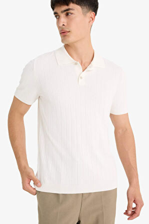 DeFacto Standart Fit Polo Yaka Triko Kısa Kollu Tişört F6063AX25SMER140