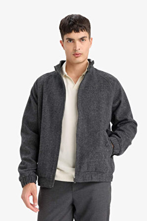 Regular Fit Dik Yaka Cepli Fermuarlı Astarlı Mont