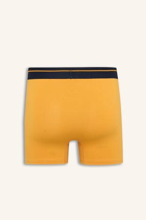 Regular Fıt Ayıcıklı Beli Lastikli 2'li Boxer
