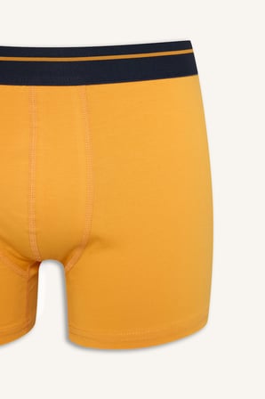 Regular Fıt Ayıcıklı Beli Lastikli 2'li Boxer
