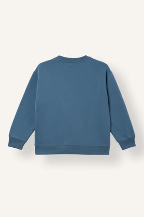 Regular Fıt Bisiklet Yaka Etiket Baskılı Kalın Kumaş Sweatshirt Erkek Çocuk
