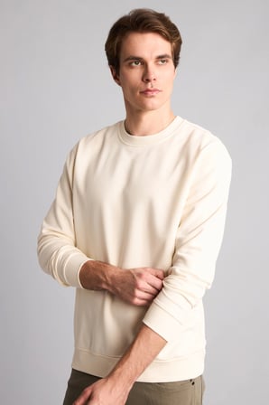 Regular Fıt Bisiklet Yaka Basic Sweatshırt