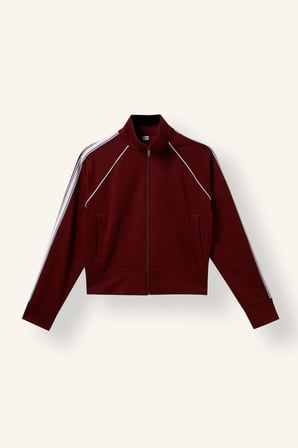 Standart Fit Dik Yaka Şerit Detaylı Fermuarlı Basic Sweatshirt Hırka