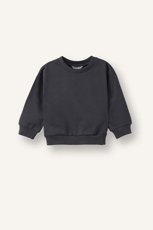Regular Fıt Bisiklet Yaka Basıc Düz Sweatshirt Kumaşı 2'li Sweatshirt Erkek Bebek