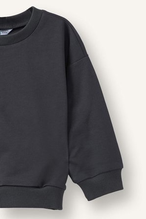 Regular Fıt Bisiklet Yaka Basıc Düz Sweatshirt Kumaşı 2'li Sweatshirt Erkek Bebek