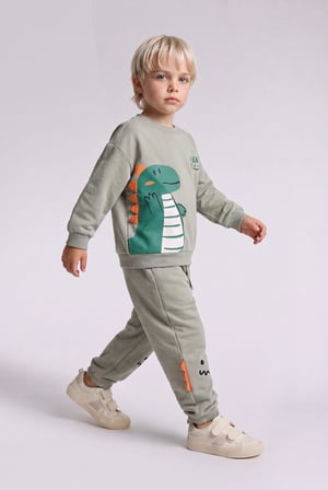 Hayvan Desenli İnce Sweatshirt Kumaşı 2'li Takım Erkek Bebek