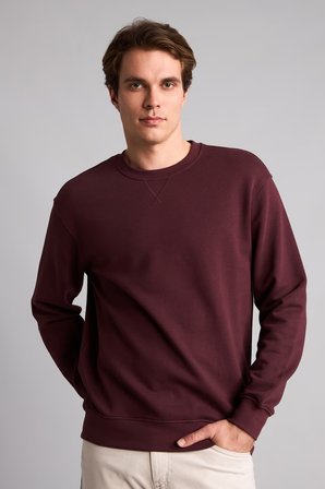 DeFacto Pamuklu Regular Fit Basic Sweatshirt E8339AX26AUBR464