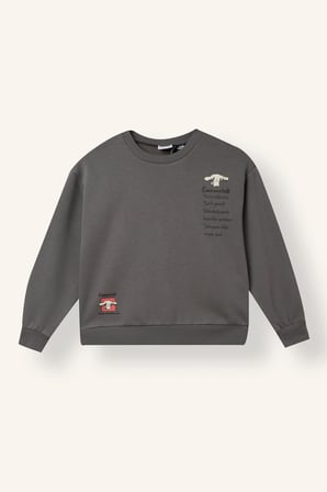 Cinnamoroll Relax Fıt Bisiklet Yaka İçi Yumuşak Tüylü Kalın Sweatshirt Kumaşı Sweatshirt Kız Çocuk