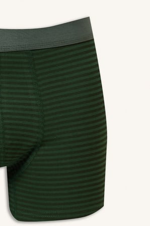 Regular Fıt Desenli Beli Lastikli 3'lü Boxer