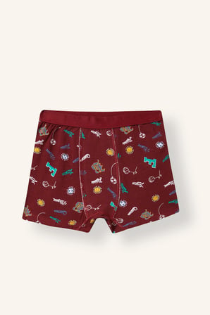 Desenli Penye 3'lü Boxer Erkek Çocuk