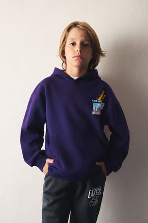 NBA Los Angeles Lakers Bisiklet Yaka İçi Yumuşak Tüylü Kalın Sweatshirt Kumaşı Basic Sweatshirt Erkek Çocuk