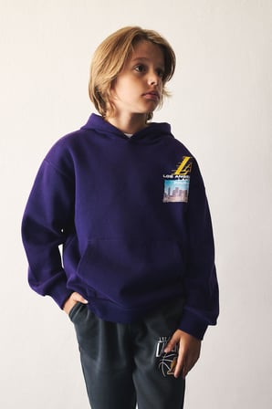 NBA Los Angeles Lakers Bisiklet Yaka İçi Yumuşak Tüylü Kalın Sweatshirt Kumaşı Basic Sweatshirt Erkek Çocuk