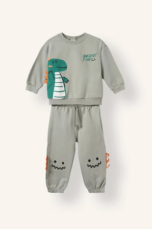 Hayvan Desenli İnce Sweatshirt Kumaşı 2'li Takım Erkek Bebek