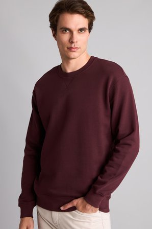 DeFacto Pamuklu Regular Fit Basic Sweatshirt E8339AX26AUBR464