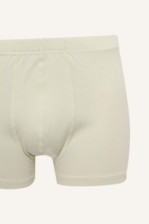 DeFacto Regular Fıt 3'lü Boxer Seti H3646AX26SPGN1240