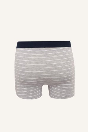 DeFacto Regular Fıt Çizgili 3'lü Boxer Set H4415AX26SPNV135