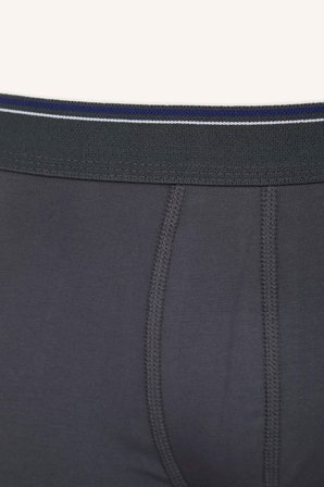 Regular Fıt 3'lü Boxer
