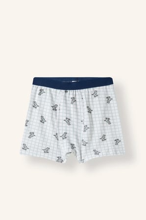 Ayı Baskılı Penye 3'lü Boxer Erkek Çocuk