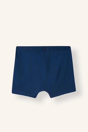Ayı Baskılı Penye 3'lü Boxer Erkek Çocuk
