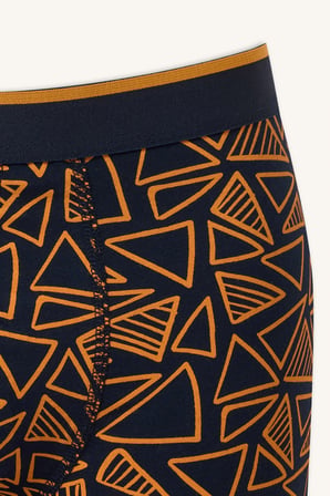 Geometrik Desenli Regular Fit 2'li Boxer