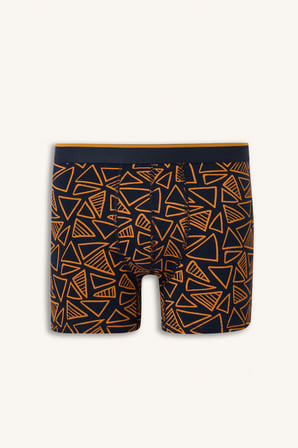 Geometrik Desenli Regular Fit 2'li Boxer