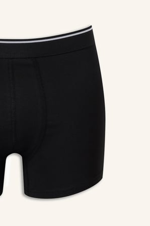 Regular Fıt Şal Desenli Beli Lastikli 3'lü Boxer