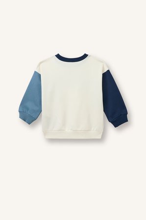 DeFacto Oversize Baskılı Renk Bloklu Sweatshirt Erkek Bebek I0316A526AUER118