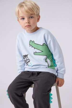 Hayvan Desenli İnce Sweatshirt Kumaşı 2'li Takım Erkek Bebek