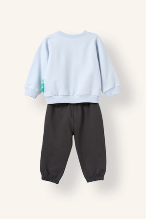 Hayvan Desenli İnce Sweatshirt Kumaşı 2'li Takım Erkek Bebek