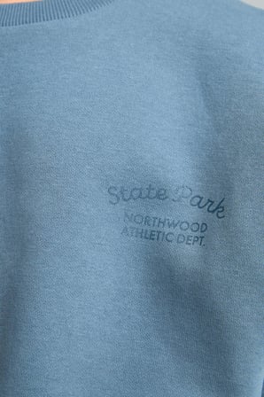 Defacto H9683A8BE739 Mavi Bisiklet Yaka Efekt Nakışlı Sweatshirt Erkek Çocuk