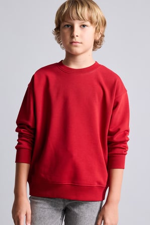 Regular Fıt Bisiklet Yaka İçi Yumuşak Tüylü Kalın Kumaş Sweatshirt Erkek Çocuk